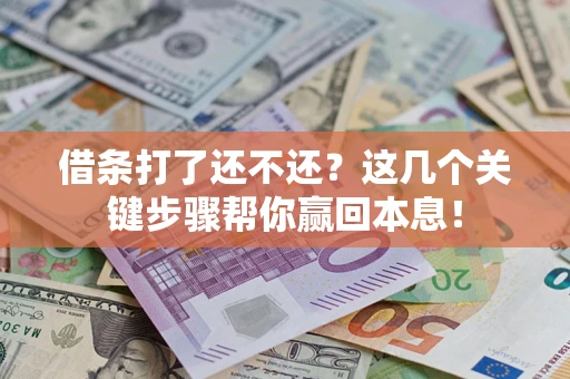 武汉借条打了还不还？这几个关键步骤帮你赢回本息！