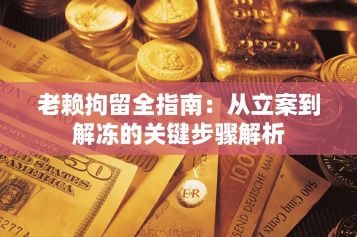 武汉老赖拘留全指南：从立案到解冻的关键步骤解析