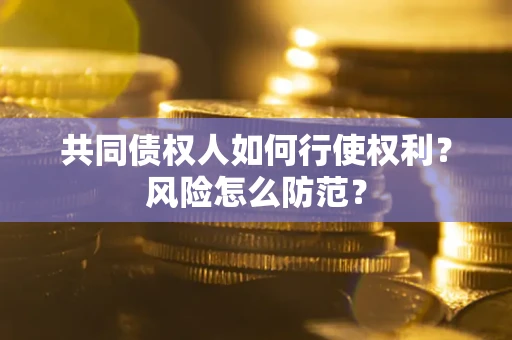 武汉共同债权人如何行使权利？风险怎么防范？