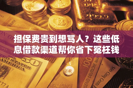 武汉担保费贵到想骂人？这些低息借款渠道帮你省下冤枉钱