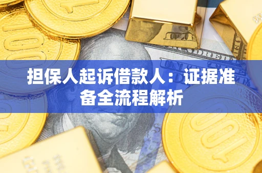武汉担保人起诉借款人：证据准备全流程解析