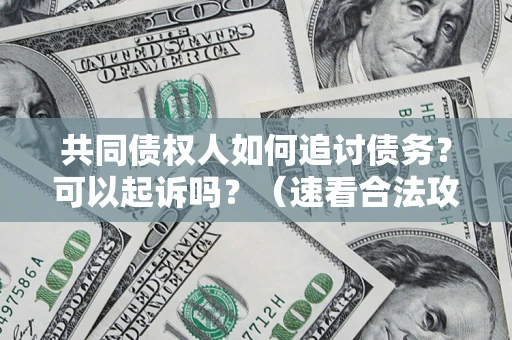 武汉共同债权人如何追讨债务？可以起诉吗？（速看合法攻略）