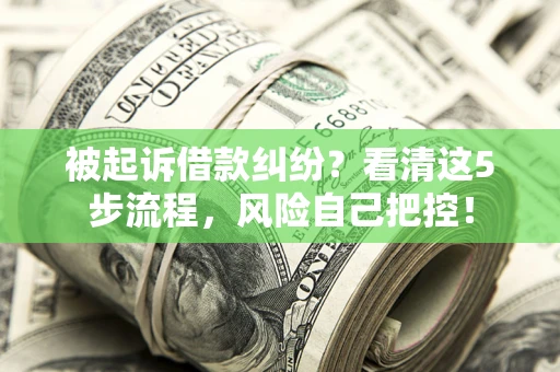 武汉被起诉借款纠纷？看清这5步流程，风险自己把控！