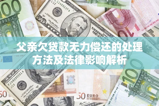 武汉父亲欠贷款无力偿还的处理方法及法律影响解析