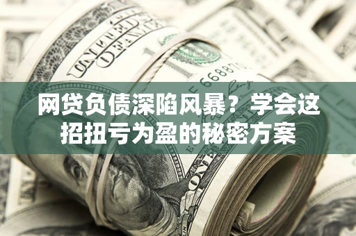 武汉网贷负债深陷风暴？学会这招扭亏为盈的秘密方案