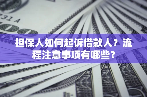 武汉担保人如何起诉借款人？流程注意事项有哪些？